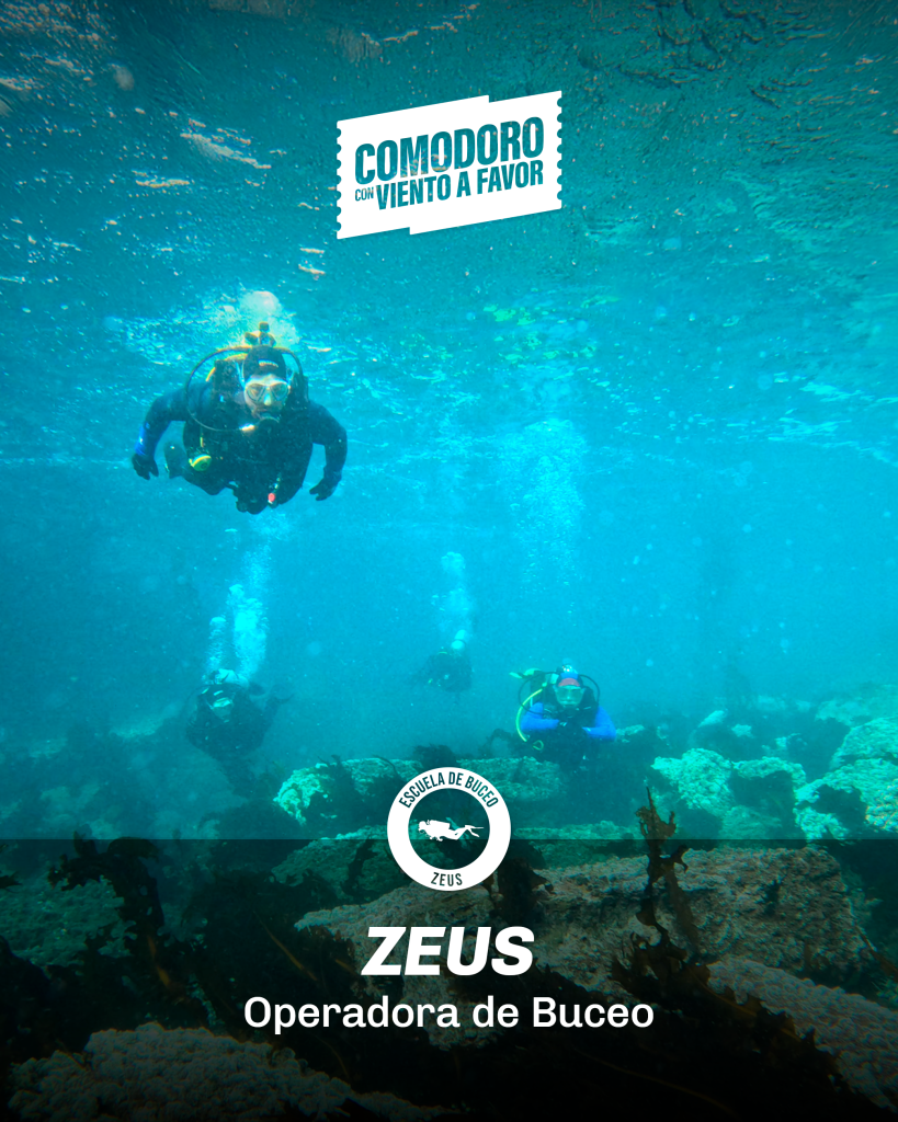 05 Buceo Zeus