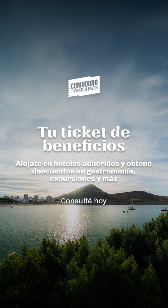 05 CCVAF - BANNER mobile