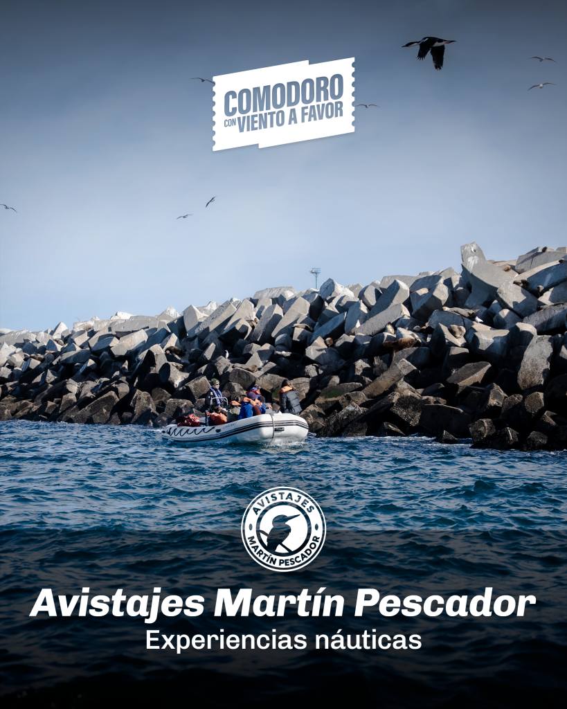 09 Avistajes Martín Pescador