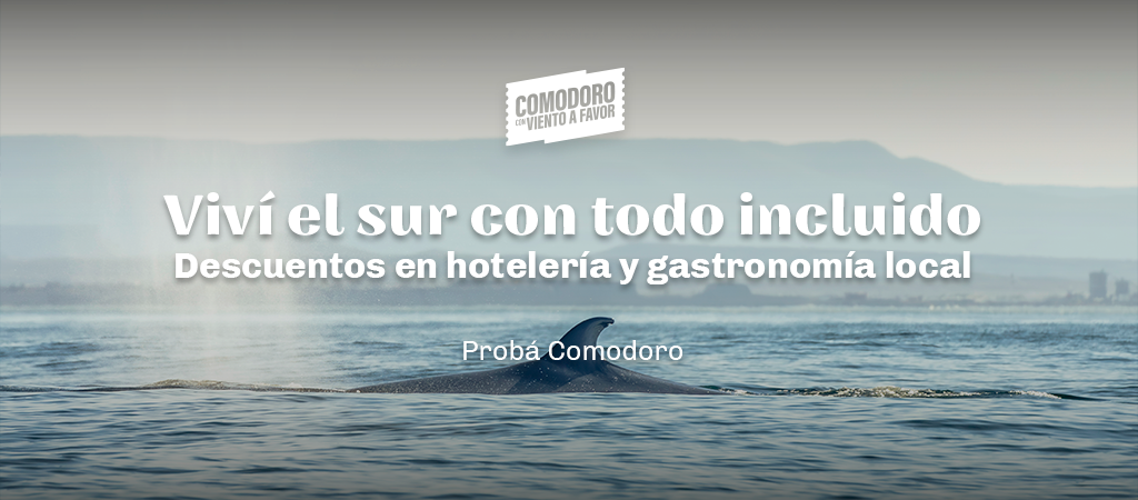 08 CCVAF - BANNER desktop