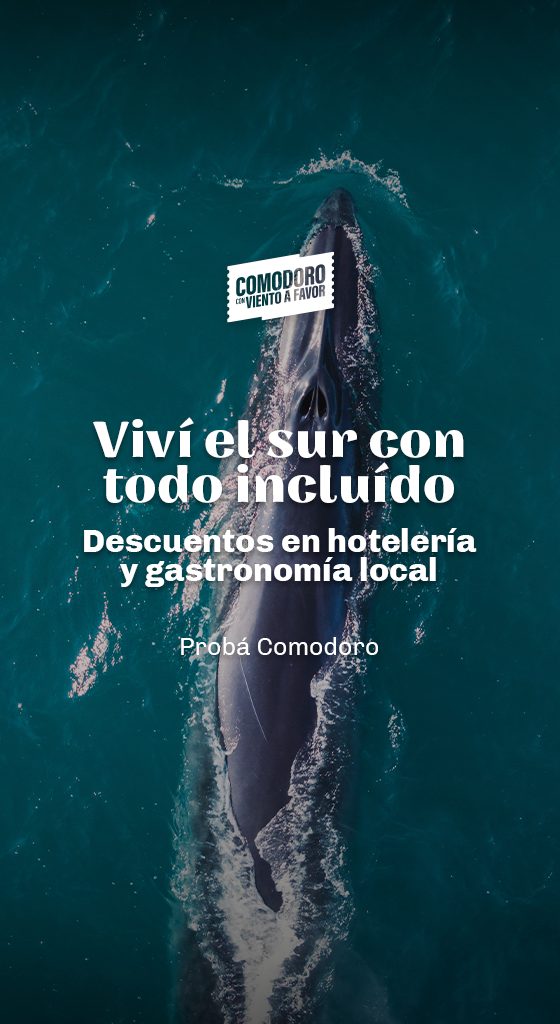 08 CCVAF - BANNER mobile