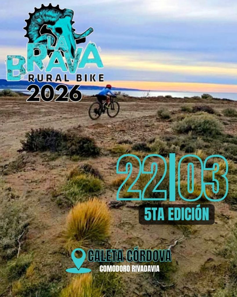 11_20260209_134116_0002